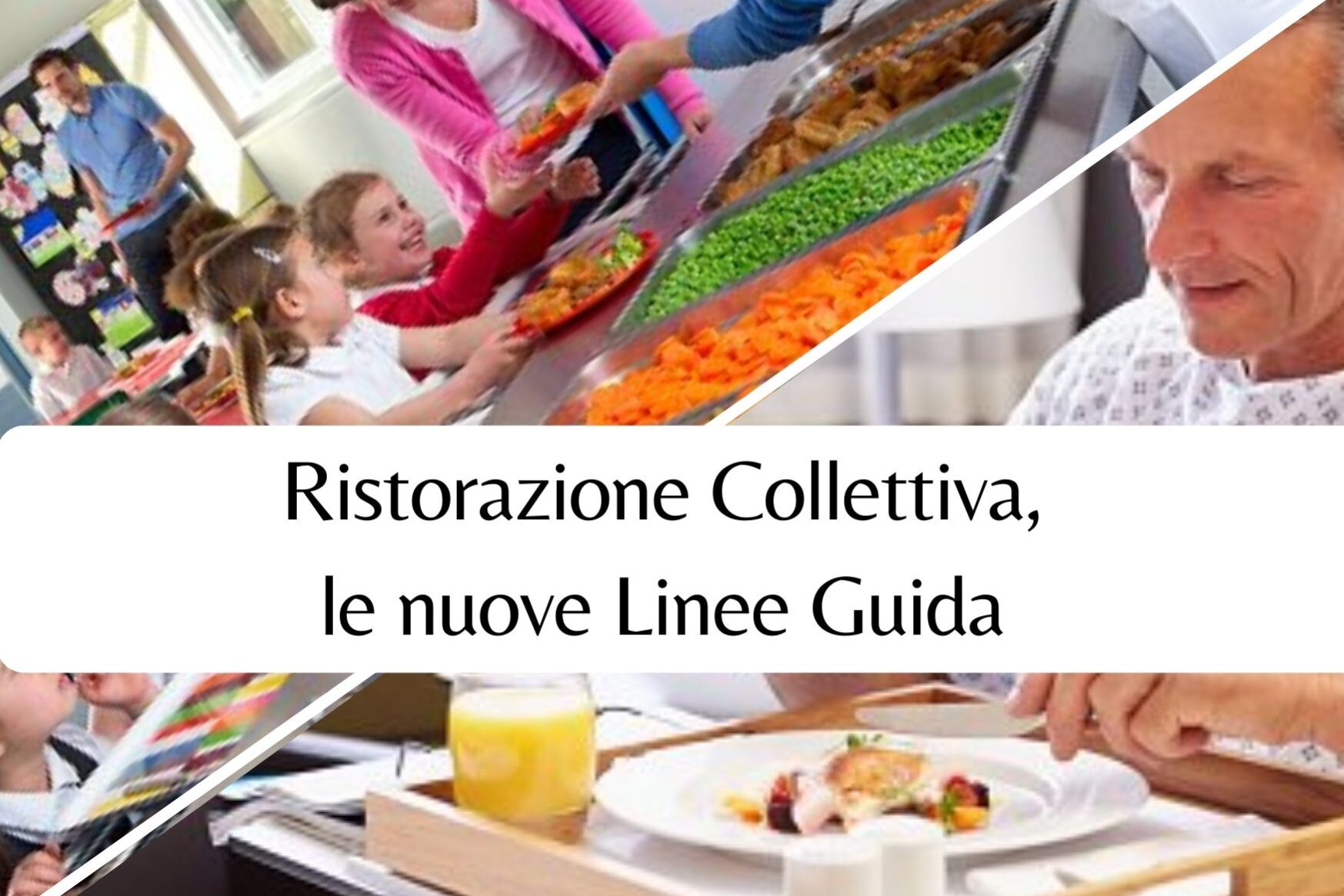 Ristorazione scolastica – ospedaliera ed assistenziale (1)