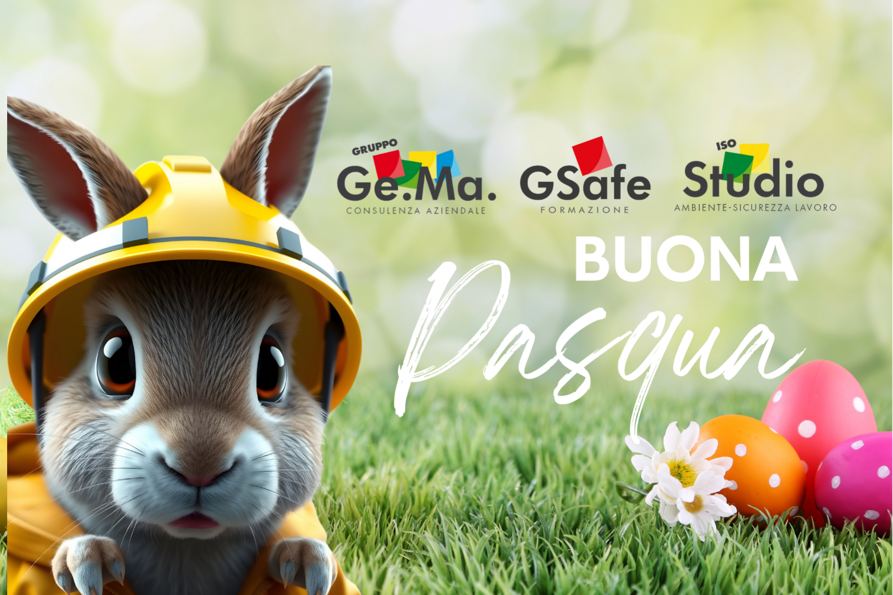 Pasqua (8)